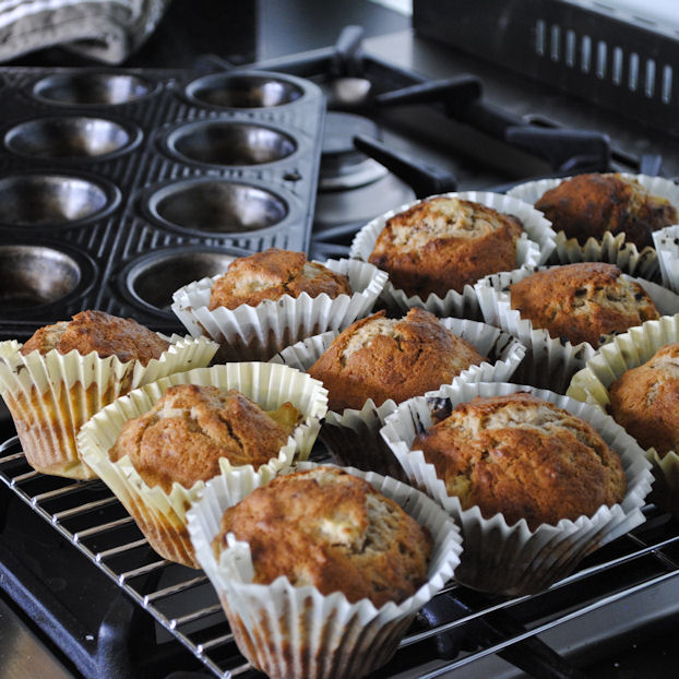 Hummingbird Cupcakes 