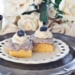 Blueberry Mousse Slice -gluten-free & low FODMAP