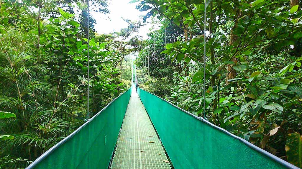 A canopy walk on a suspended swing bridge in Monteverde