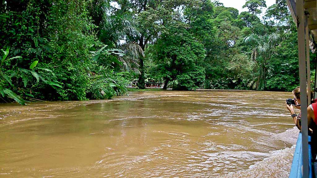 Tortuguero National Park, Costa Rica 