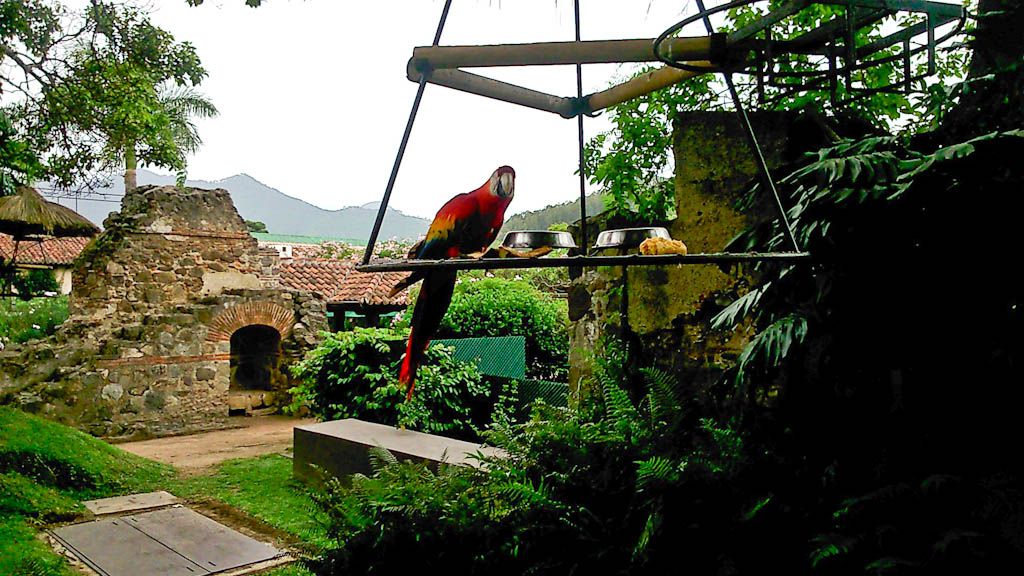 A different hotel built around the ruins of the church San Domenico - quite stunning