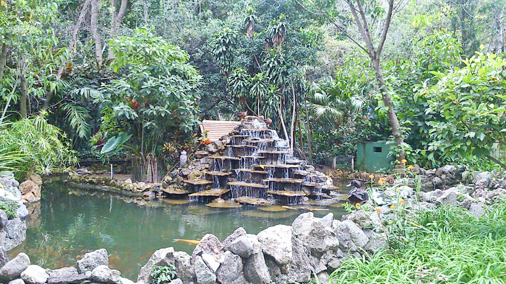 Amazing gardens at the Hotel Atitlan, where we stayed